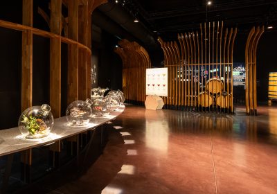 Cité des Climats et vins de Bourgogne – Beaune - 3
