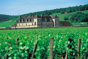 Château du Clos de Vougeot - 2