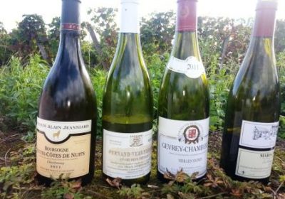 Clos de bourgogne, ateliers découverte „vigne et vin“ - 4