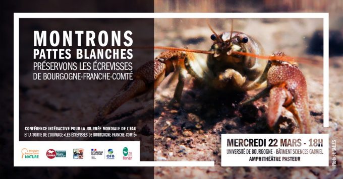 Montrons pattes blanches · Préservons les écrevisses de Bourgogne-Franche-Comté - 0