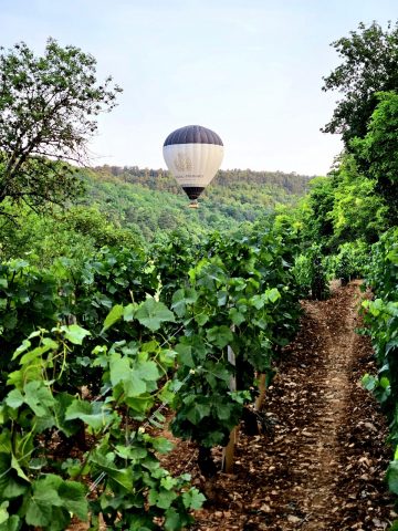 France Montgolfières – Beaune - 3