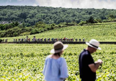 Mai à vélo en Côte-d’Or - 2
