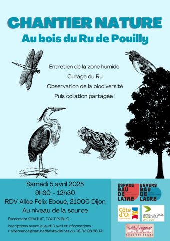 Chantier nature au bois du Ru de Pouilly_ENS2025 - 1