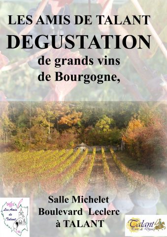 Dégustation de vins de Bourgogne et du Jura - 0