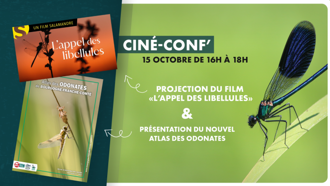 Lancement de l’Atlas des Odonates de Bourgogne-Franche-Comté ! / CINÉ-CONF’ - 0