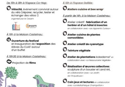 Festi Pluriel-le #3 - 1