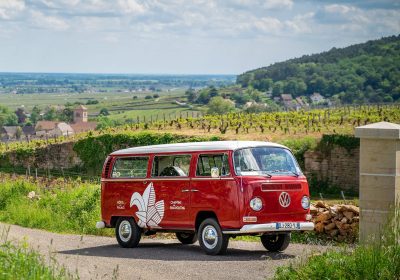 Chemins de Bourgogne – Circuit dans la Côte de Nuits, en Combi-Matin - 0