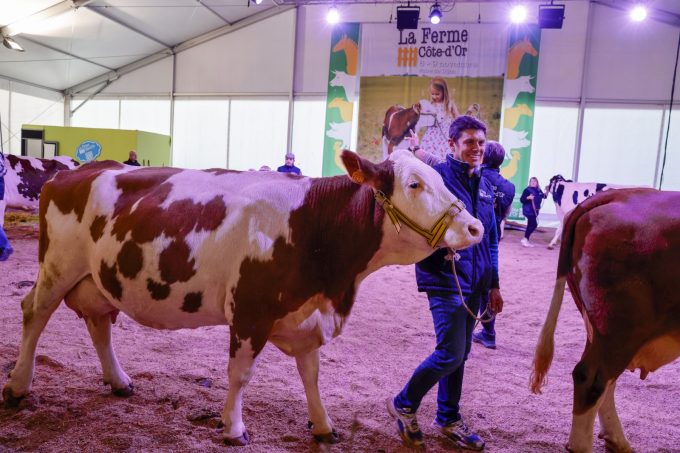 La Ferme Côte-d’Or à la Foire Gastronomique - 0