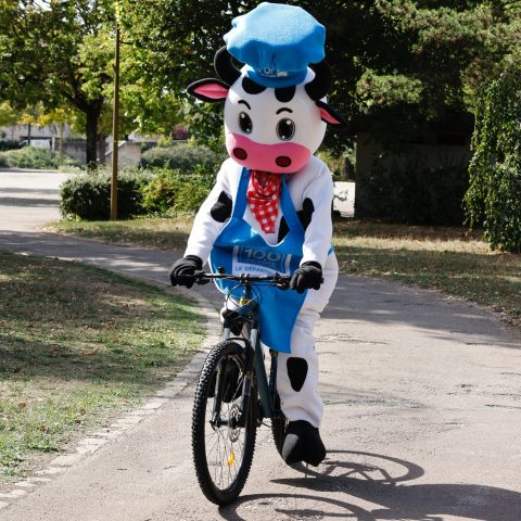 Marché d’été 100% Côte-d’Or spécial vélo - 1