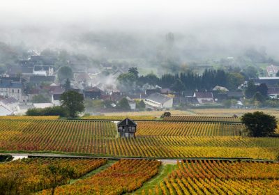 Chemins de Bourgogne – Journée en Côte de Beaune et Côte de Nuits - 0