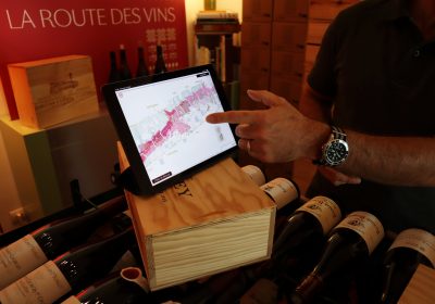 Les Facettes du Pinot Noir : Immersion au cœur des Climats de Bourgogne – La Route des Vins - 0