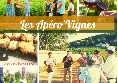 Clos de bourgogne, ateliers découverte „vigne et vin“ - 5