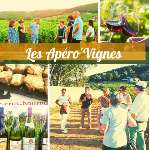 Clos de bourgogne, découverte des Secrets „vigne et vin“ - 5