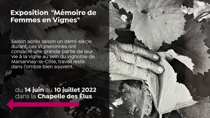 Exposition „Mémoire de Femmes en Vignes“ - 0