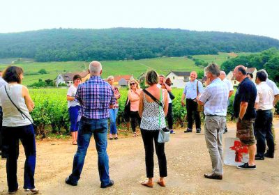 Clos de bourgogne, découverte des Secrets „vigne et vin“ - 6