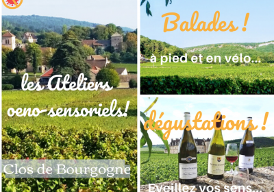 Clos de bourgogne, découverte des secrets „vigne et vin“ - 3