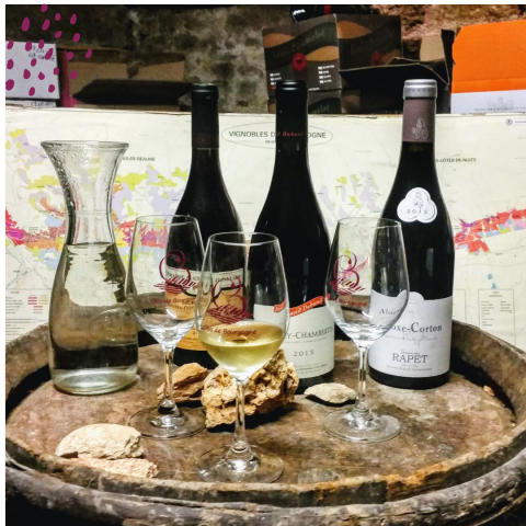 Clos de bourgogne, découverte des Secrets „vigne et vin“ - 2