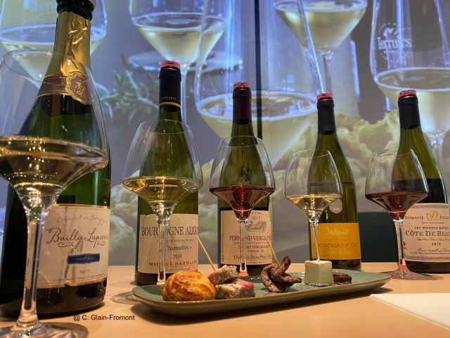 Atelier accords mets et vins de Bourgogne – La Cité Internationale de la Gastronomie et du Vin - 1