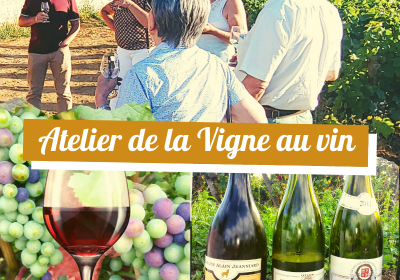 Clos de bourgogne, ateliers découverte „vigne et vin“ - 0