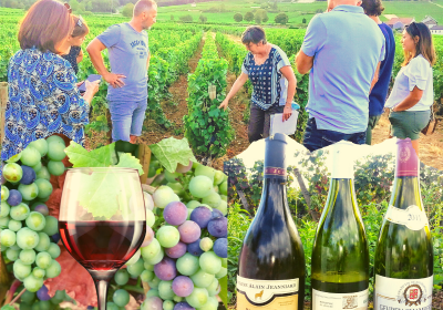 Clos de bourgogne, découverte des Secrets „vigne et vin“ - 1