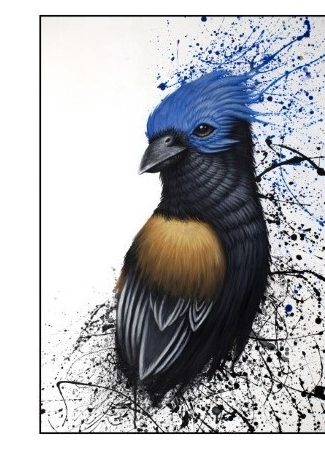 Exposition Florian Labaye „Rêves Sauvages“ et LPO „Portraits d’oiseaux“