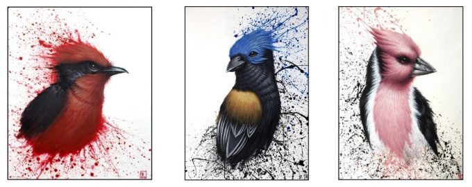 Exposition Florian Labaye „Rêves Sauvages“ et LPO „Portraits d’oiseaux“ - 0